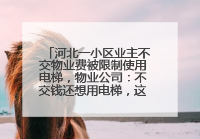 河北一小区业主不交物业费被限制使用电梯，物业公司：不交钱还想用电梯，这钱谁出？