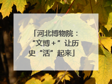 河北博物院：“文博＋”让历史“活”起来