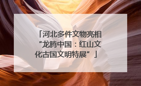 河北多件文物亮相“龙腾中国：红山文化古国文明特展”