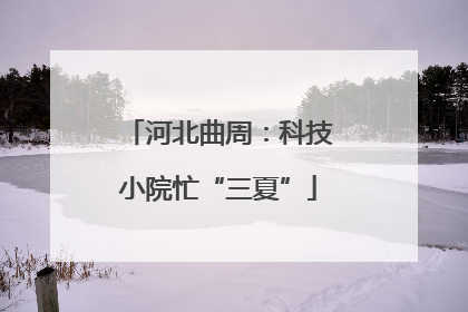河北曲周：科技小院忙“三夏”