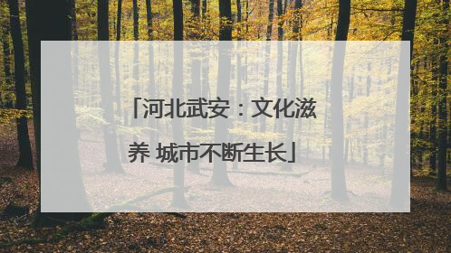 河北武安：文化滋养 城市不断生长