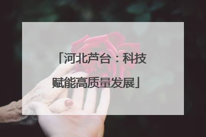 河北芦台：科技赋能高质量发展
