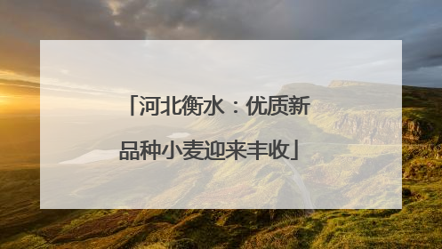 河北衡水：优质新品种小麦迎来丰收