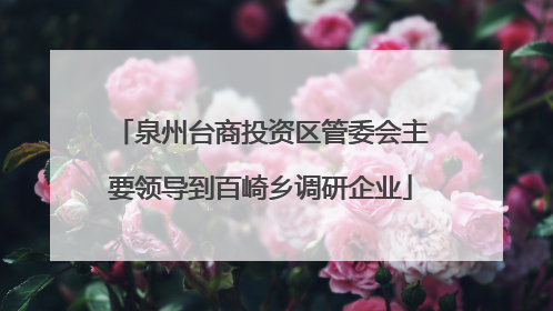 泉州台商投资区管委会主要领导到百崎乡调研企业