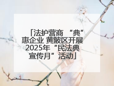 法护营商 “典”惠企业 黄陂区开展2025年“民法典宣传月”活动