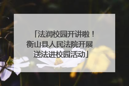 法润校园开讲啦！衡山县人民法院开展 送法进校园活动