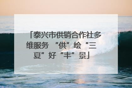 泰兴市供销合作社多维服务 “供”绘“三夏”好“丰”景