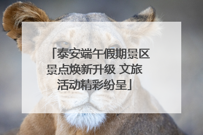 泰安端午假期景区景点焕新升级 文旅活动精彩纷呈