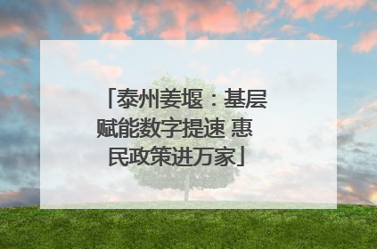 泰州姜堰：基层赋能数字提速 惠民政策进万家