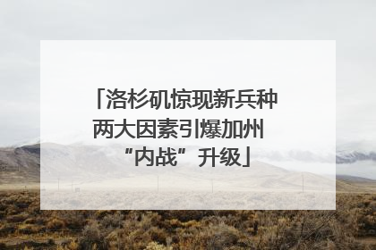 洛杉矶惊现新兵种 两大因素引爆加州“内战”升级