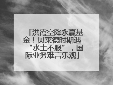 洪霞空降永赢基金！贝莱德时期遇“水土不服”，国际业务难言乐观
