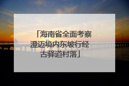 海南省全面考察澄迈境内东坡行经古驿道村落