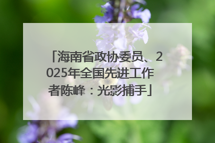 海南省政协委员、2025年全国先进工作者陈峰：光影捕手