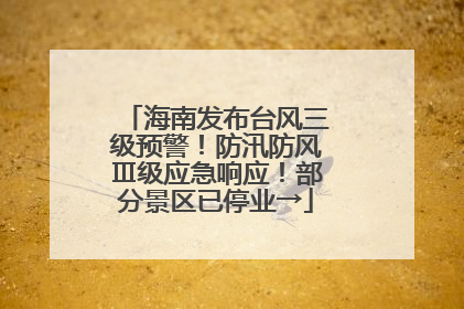 海南发布台风三级预警！防汛防风Ⅲ级应急响应！部分景区已停业→