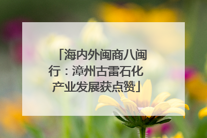 海内外闽商八闽行：漳州古雷石化产业发展获点赞
