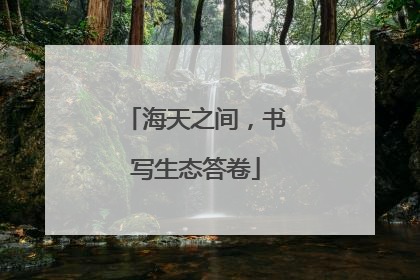 海天之间，书写生态答卷