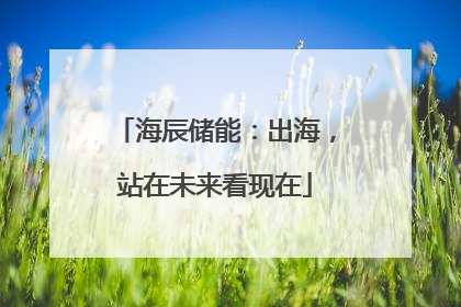 海辰储能：出海，站在未来看现在