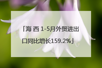 海 西 1-5月外贸进出口同比增长159.2%