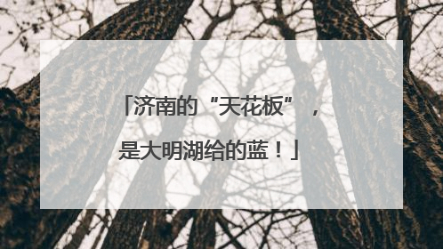 济南的“天花板”，是大明湖给的蓝！