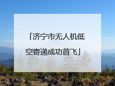 济宁市无人机低空寄递成功首飞