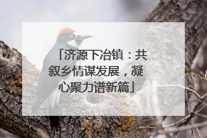 济源下冶镇：共叙乡情谋发展，凝心聚力谱新篇