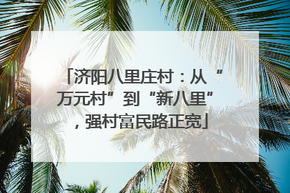 济阳八里庄村：从“万元村”到“新八里”，强村富民路正宽