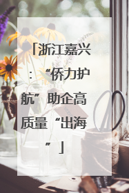 浙江嘉兴：“侨力护航”助企高质量“出海”