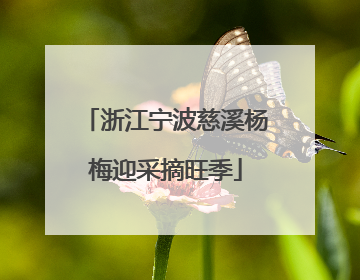 浙江宁波慈溪杨梅迎采摘旺季