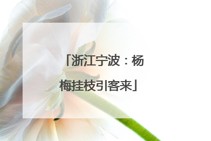浙江宁波：杨梅挂枝引客来