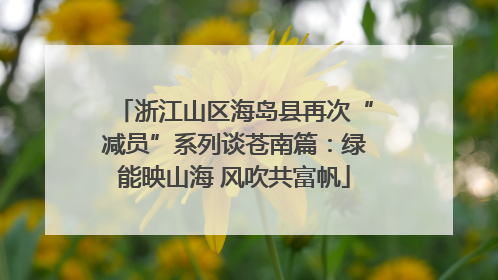 浙江山区海岛县再次“减员”系列谈苍南篇：绿能映山海 风吹共富帆