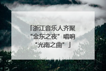 浙江音乐人齐聚“金东之夜”唱响“光南之曲”