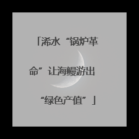 浠水“锅炉革命”让海鳗游出“绿色产值”