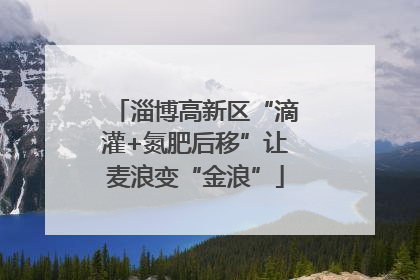 淄博高新区“滴灌+氮肥后移”让麦浪变“金浪”