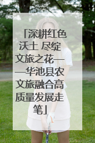 深耕红色沃土 尽绽文旅之花——华池县农文旅融合高质量发展走笔