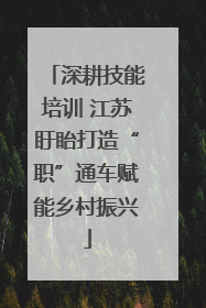 深耕技能培训 江苏盱眙打造“职”通车赋能乡村振兴