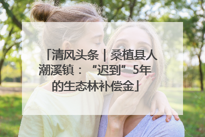 清风头条｜桑植县人潮溪镇：“迟到”5年的生态林补偿金