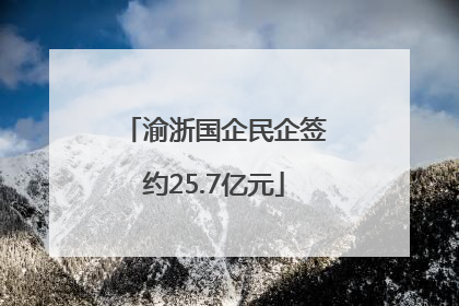 渝浙国企民企签约25.7亿元