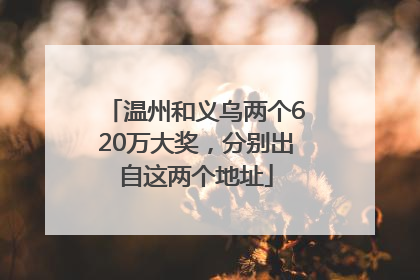 温州和义乌两个620万大奖，分别出自这两个地址