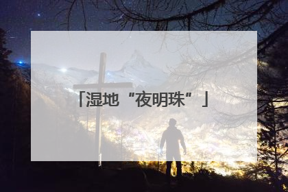 湿地“夜明珠”