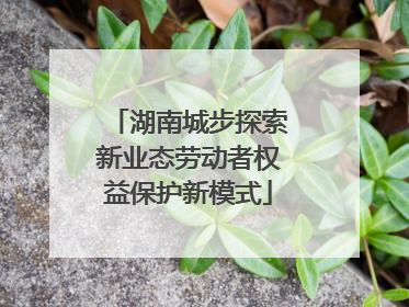 湖南城步探索新业态劳动者权益保护新模式