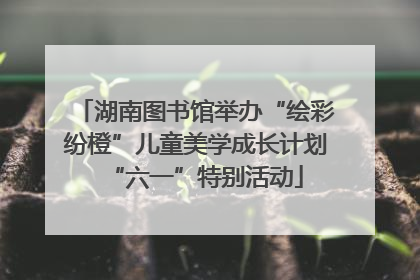 湖南图书馆举办“绘彩纷橙”儿童美学成长计划“六一”特别活动
