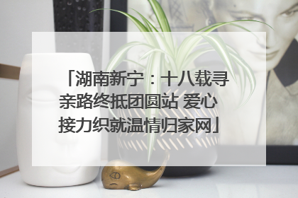 湖南新宁：十八载寻亲路终抵团圆站 爱心接力织就温情归家网