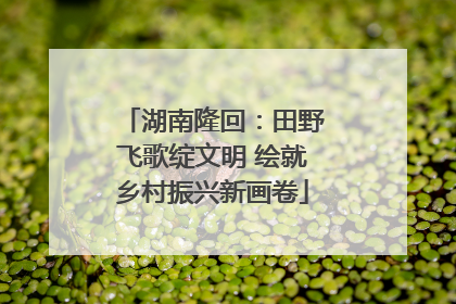 湖南隆回：田野飞歌绽文明 绘就乡村振兴新画卷