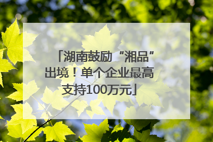 湖南鼓励“湘品”出境！单个企业最高支持100万元