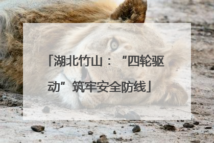 湖北竹山：“四轮驱动”筑牢安全防线