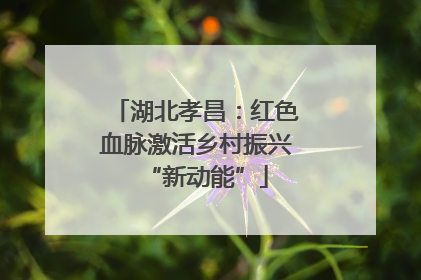 湖北孝昌：红色血脉激活乡村振兴“新动能”