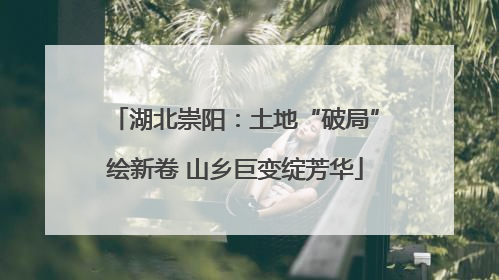 湖北崇阳：土地“破局”绘新卷 山乡巨变绽芳华