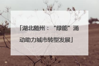 湖北随州：“绿能”涌动助力城市转型发展