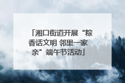 湘口街道开展“粽香话文明 邻里一家亲”端午节活动