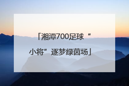 湘潭700足球“小将”逐梦绿茵场